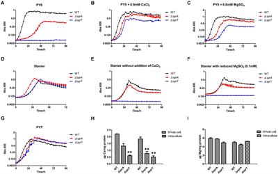 Cytophaga hutchinsonii SprA and SprT Are Essential Components of the Type IX Secretion System Required for Ca2+ Acquisition, Cellulose Degradation, and Cell Motility